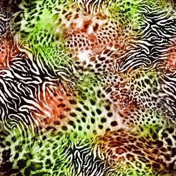 269267-动物纹 幻彩 经典