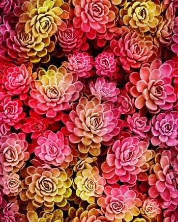 宝石花印花华亿平台图片