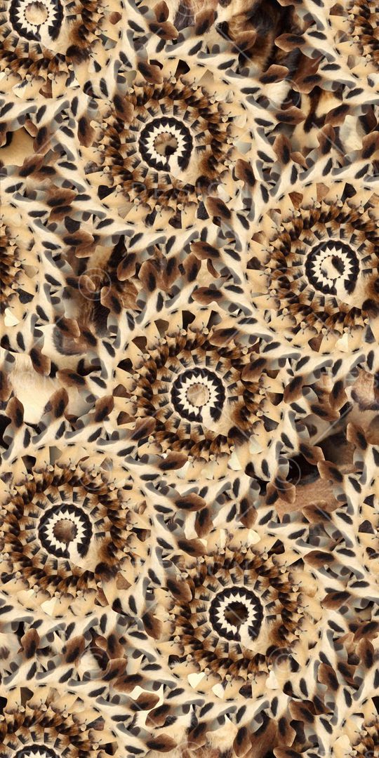 圆印花华亿平台图片