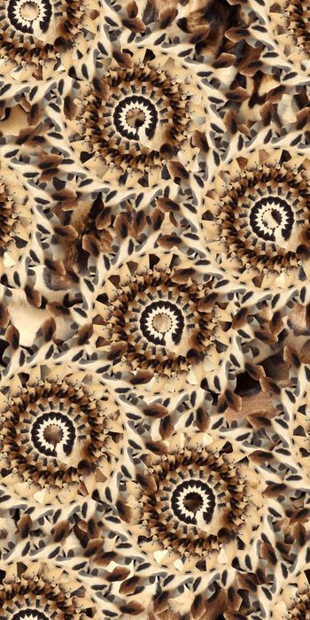 圆印花华亿平台图片