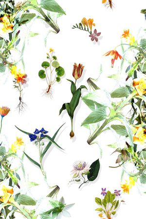 植物印花华亿平台图片