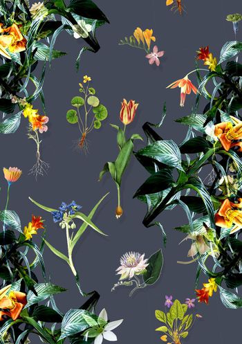 272809-野性自由-1