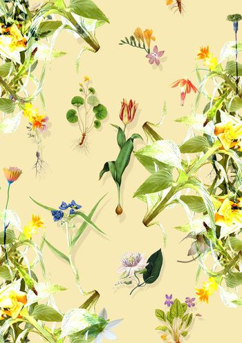 272810-野性自由-1