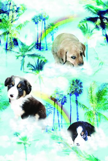 印花华亿平台图片