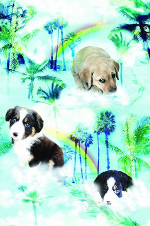 印花华亿平台图片