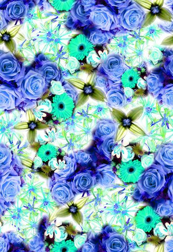 276618-多彩玫瑰花卉花朵组合