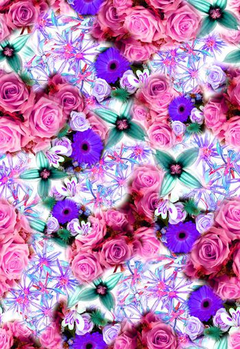 276620-多彩玫瑰花卉花朵组合