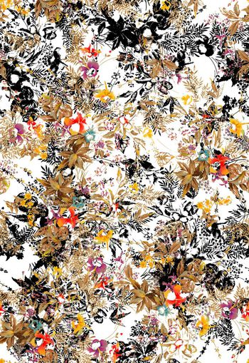 276643-多彩小花卉花朵组合