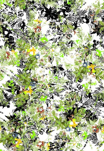 276644-多彩小花卉花朵组合