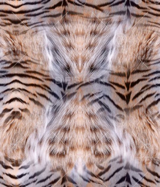 动物纹印花华亿平台图片