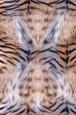 动物纹印花华亿平台图片