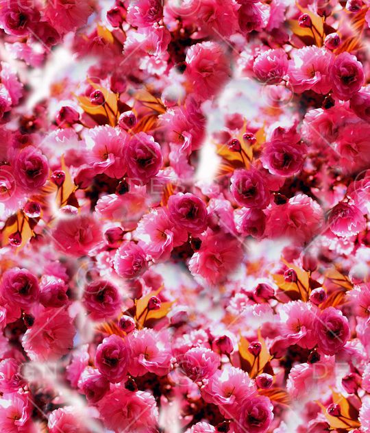 印花华亿平台图片