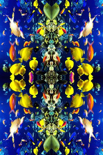 海洋印花华亿平台图片