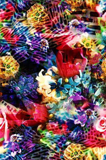 279193-条块斑点花卉