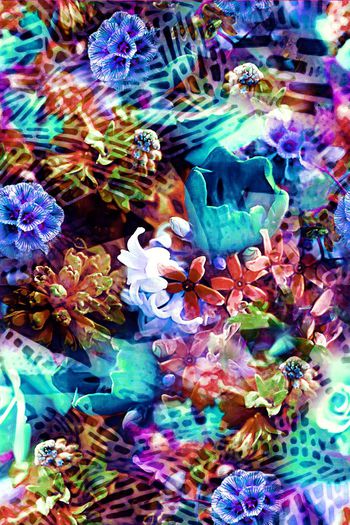 279194-条块斑点花卉