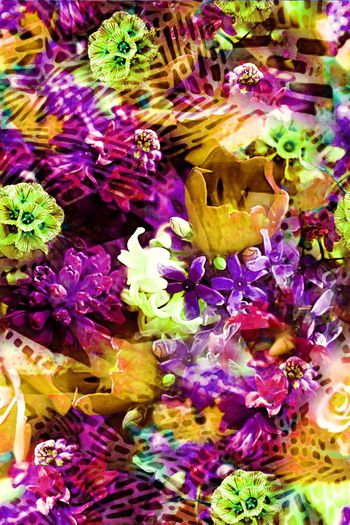 279196-条块斑点花卉