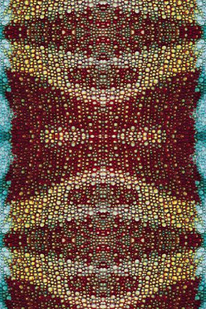 印花华亿平台图片