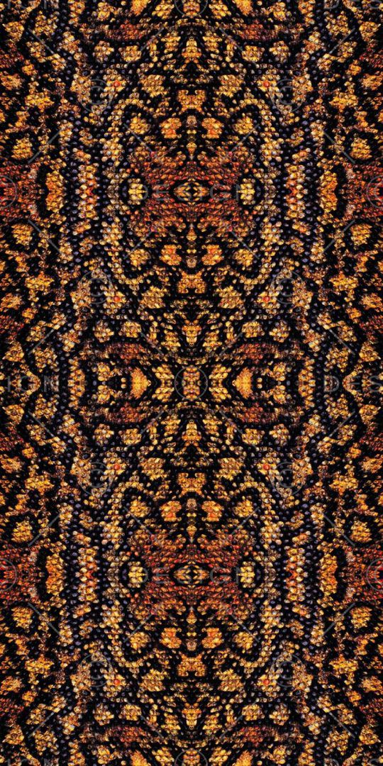 动物纹印花华亿平台图片