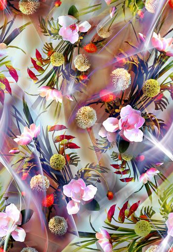 279618-多彩花卉花朵光线组合