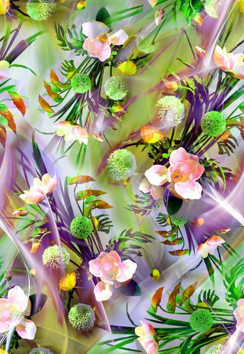 279620-多彩花卉花朵光线组合