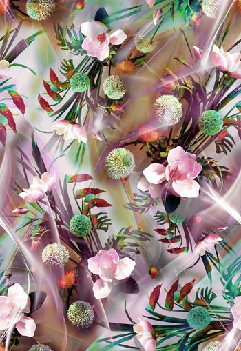 279621-多彩花卉花朵光线组合