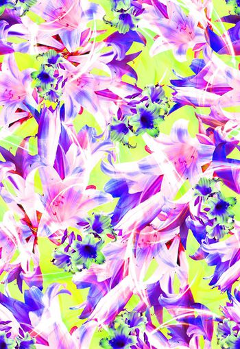 279626-多彩花卉花朵组合