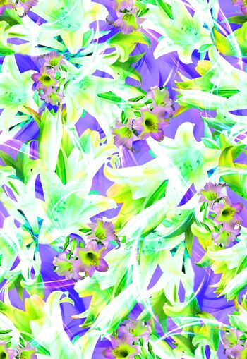 279627-多彩花卉花朵组合