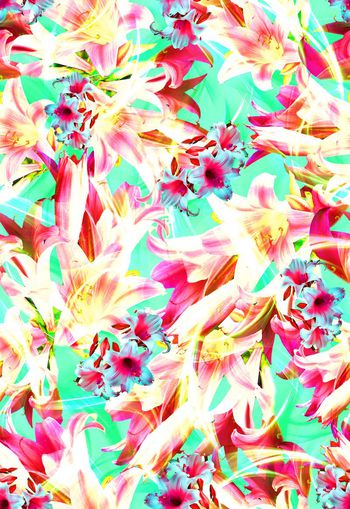 279628-多彩花卉花朵组合