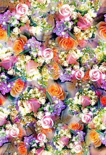 279629-多彩花卉花朵组合