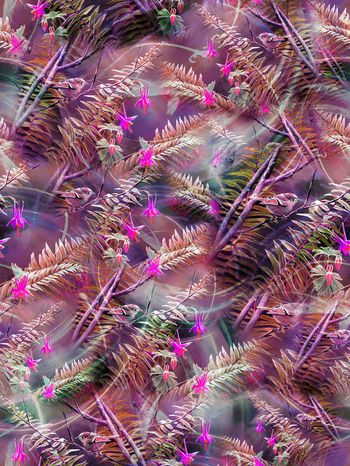 279662-热带鸟树叶线条光线组合