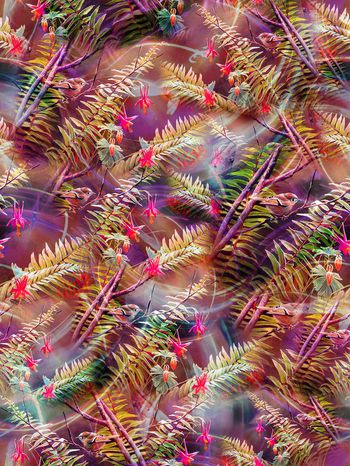 279663-热带鸟树叶线条光线组合