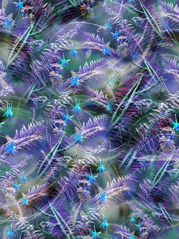 279664-热带鸟树叶线条光线组合