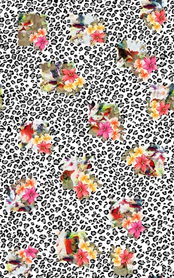 279681-黑白豹纹花卉018