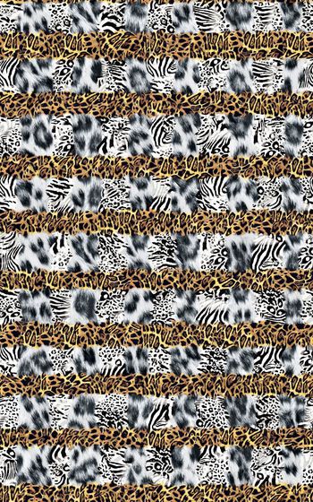 279686-组合豹纹格子条纹-015