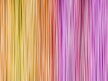 279691-五彩梦幻面料花