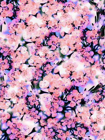 279718-多彩花卉花朵组合