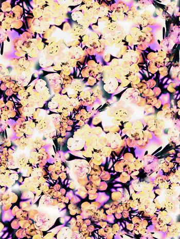 279720-多彩花卉花朵组合