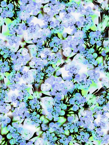 279721-多彩花卉花朵组合