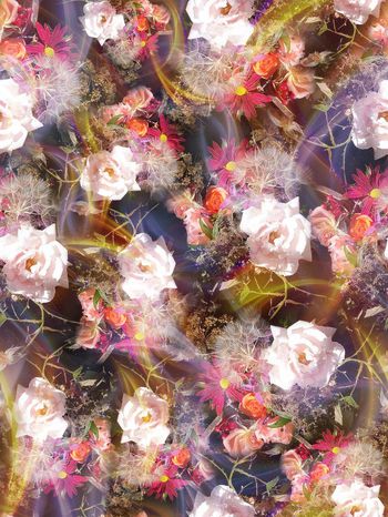 279728-多彩光线花卉花朵组合