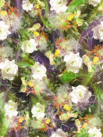 279729-多彩光线花卉花朵组合