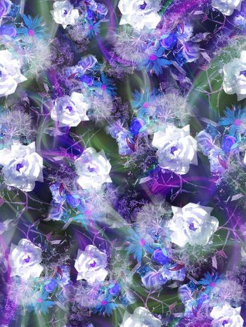 279730-多彩光线花卉花朵组合