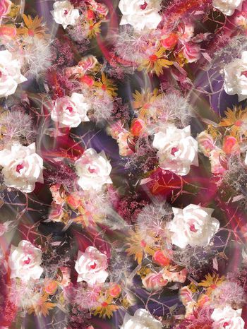 279731-多彩光线花卉花朵组合