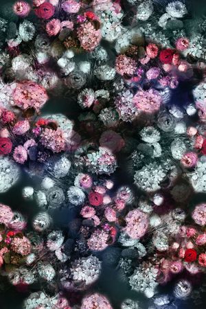 潘神花卉类印花华亿平台图片