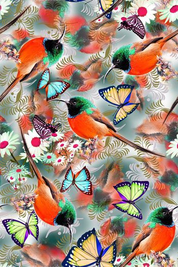 279755-鸟+蝴蝶