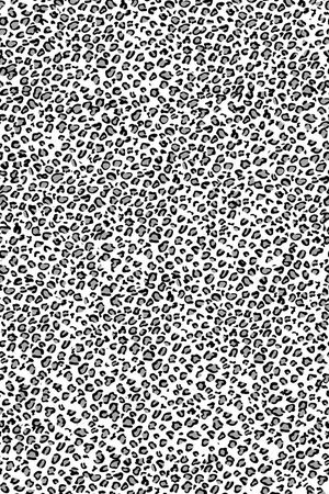 豹纹印花华亿平台图片