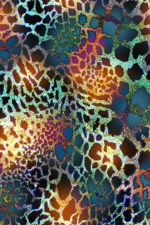 豹纹印花华亿平台图片