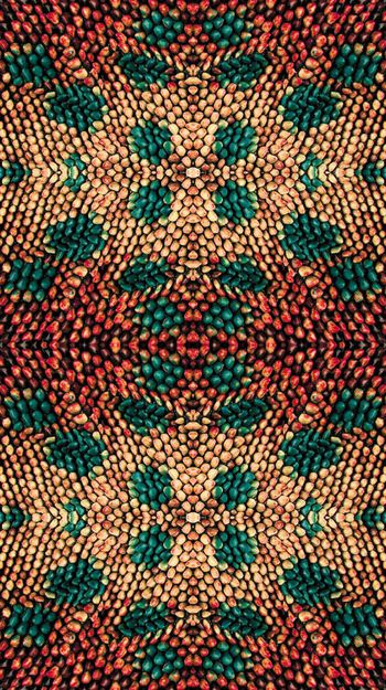 279890-高清质感蛇纹图案-1