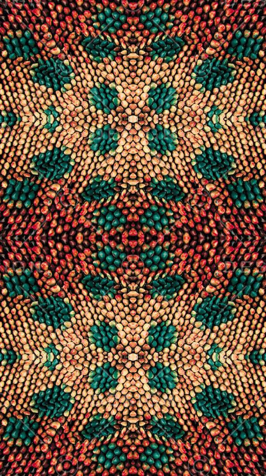 蛇纹印花华亿平台图片