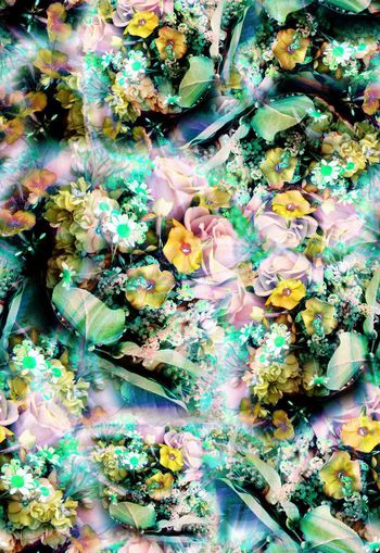 279920-多彩花卉花朵组合