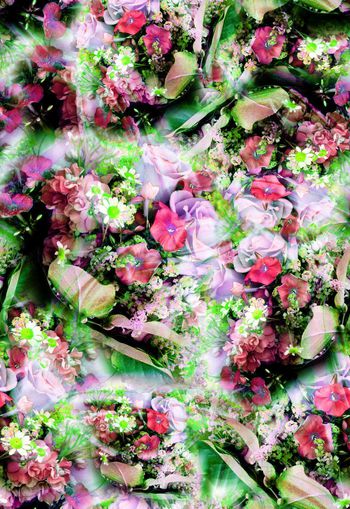 279921-多彩花卉花朵组合